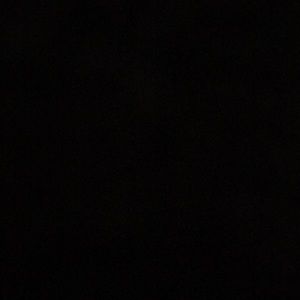 Meet your Posher, Diego